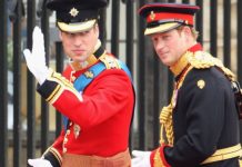 Отмороженный пенис и убийство 25 человек. Самые резонансные признания из мемуаров принца Гарри