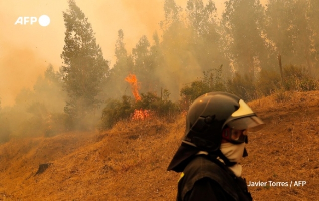 Чили охватили масштабные лесные пожары, есть погибшие и много пострадавших 