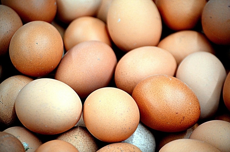 L вместо С0: Яйца будут сортировать и маркировать по-новому