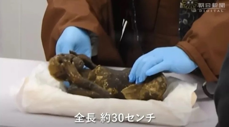 Ничего сверхъестественного. Ученые раскрыли секрет жуткой древней японской мумии «русалки» (фото)