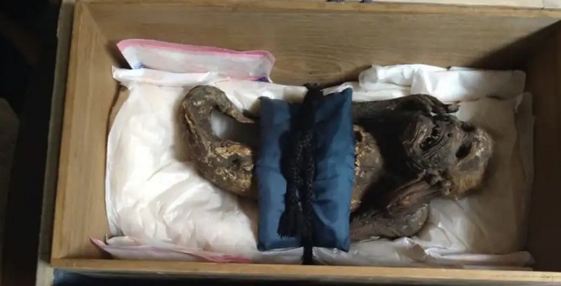 Ничего сверхъестественного. Ученые раскрыли секрет жуткой древней японской мумии «русалки» (фото)