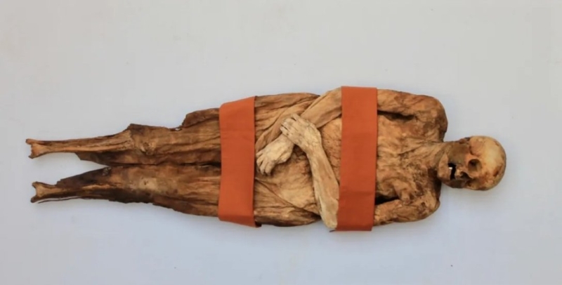 Ртуть не помогла: ученые исследовали мумию-родственницу Бориса Джонсона