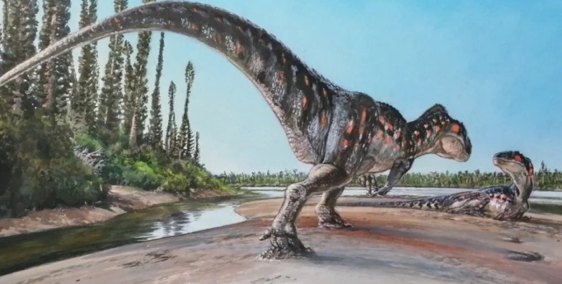 След в истории: археологи нашли метровый отпечаток лапы мегалозавра