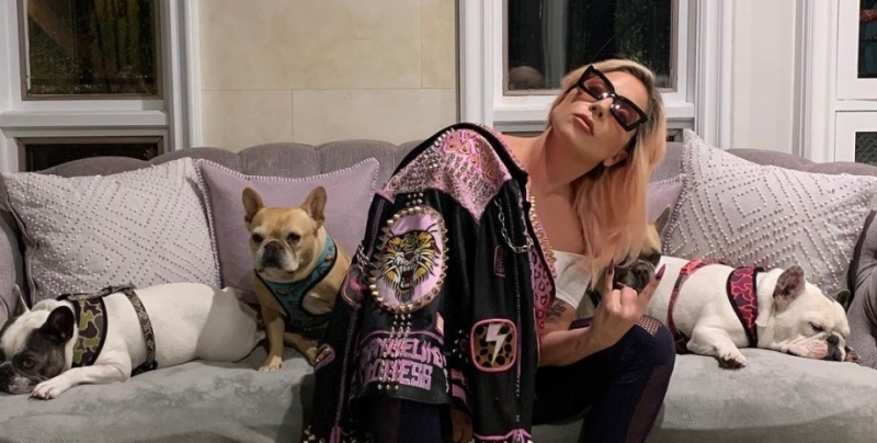 Сообщница вора собак Леди Гаги подала в суд на певицу за невыплату вознаграждения в размере $500 тысяч