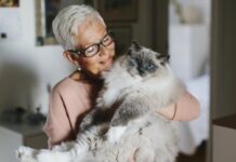 Всегда готовы пообщаться. 10 самых ласковых пород кошек