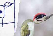 Британец превращает детские рисунки в забавные иллюстрации