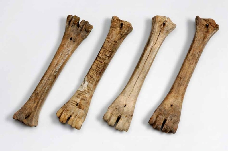 Коньки из костей. Археологи сделали необычное открытие на родине лыжного спорта