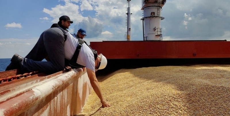 В ЕС продолжают запрещать импорт украинского зерна: какая еще страна вводит ограничения