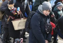 В Украине некоторых переселенцев хотят оставить без выплат: что задумали власти